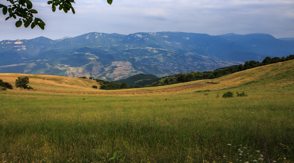 Makaravank